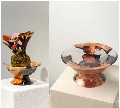 Organic Epoxy Wood Bowl